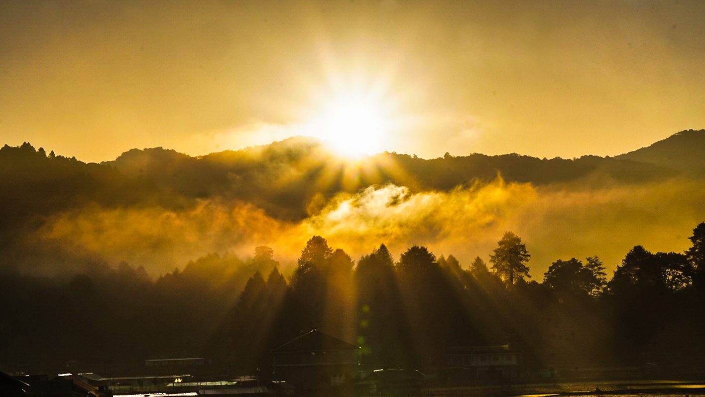 Golden sunrise over the misty pine hills of Ziro Valley